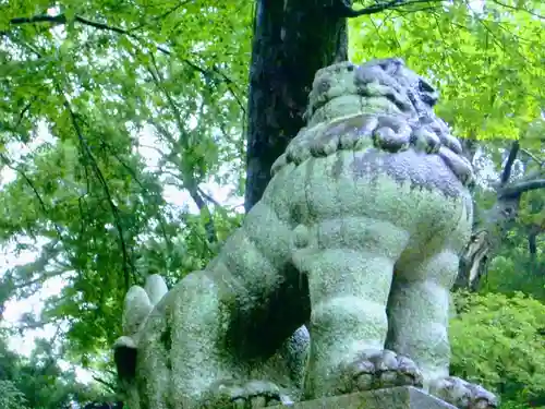 一言主神社の狛犬