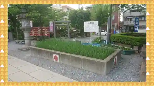 鎮守氷川神社(埼玉県)
