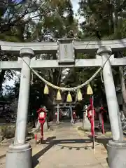 開運招福 飯玉神社(群馬県)