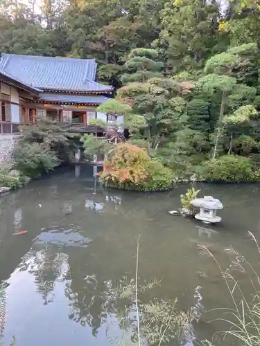 宝登山神社の庭園