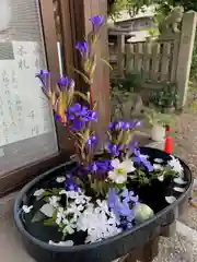 大将軍神社　東三條殿(京都府)