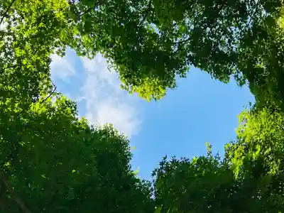 柳谷観音　楊谷寺(京都府)