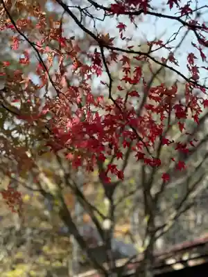 碓氷峠熊野神社(群馬県)