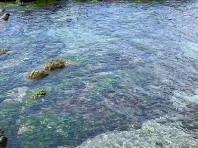 八坂神社の周辺