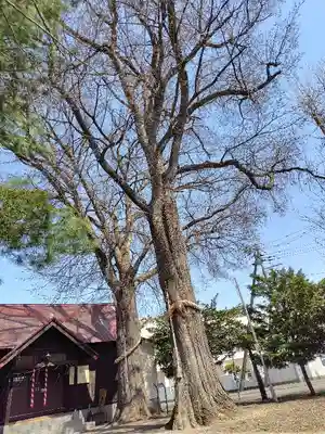 中の島神社(北海道)