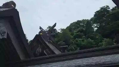 佐太神社(島根県)