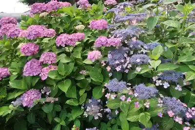 性海寺(愛知県)