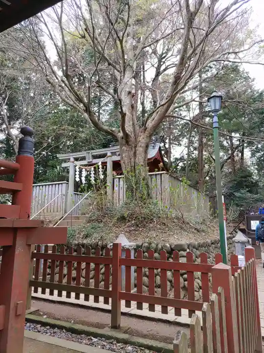 冨士浅間神社(東京都)