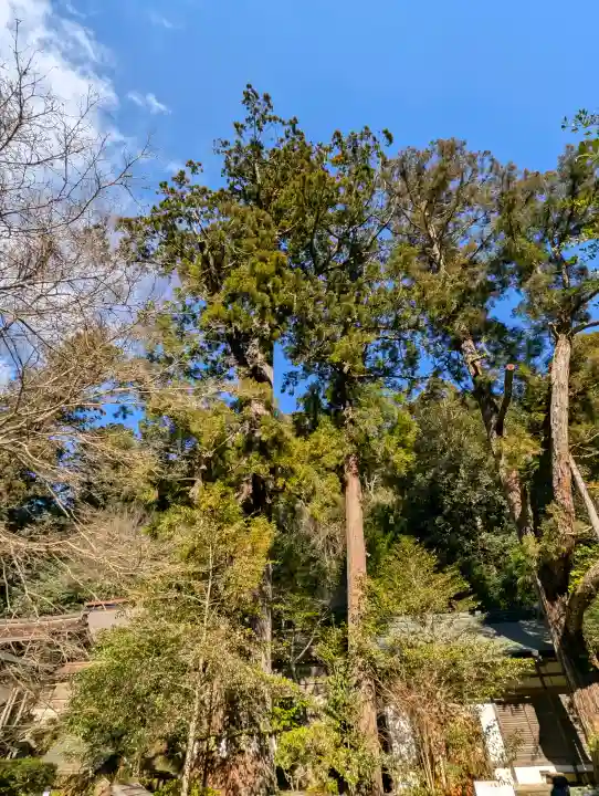 丹生川上神社(中社)の{uncategorized: "未分類", other: "その他", undefined: "問題あり", building: "その他建物", grave: "お墓", sacred_gate: "鳥居", guardian: "狛犬", statue: "像", buddha: "仏像", history: "歴史", nature: "自然", garden: "庭園", animal: "動物", pagoda: "塔", temizu: "手水舎", mountain_gate: "山門・神門", sanctuary: "本殿・本堂", subordinate: "末社・摂社", art: "芸術", scenery: "景色", jizo: "地蔵", ema: "絵馬", goshuin: "御朱印", omikuji: "おみくじ", items: "授与品その他", amulet: "お守り", goshuincho: "御朱印帳", eats: "食事", festival: "お祭り", votive_dance: "神楽", shichigosan: "七五三参", wedding: "結婚式", experience: "体験その他", initially: "初詣", around: "周辺", anti_infection: "感染症対策"}