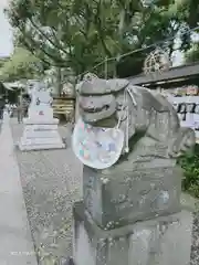 菊田神社の狛犬