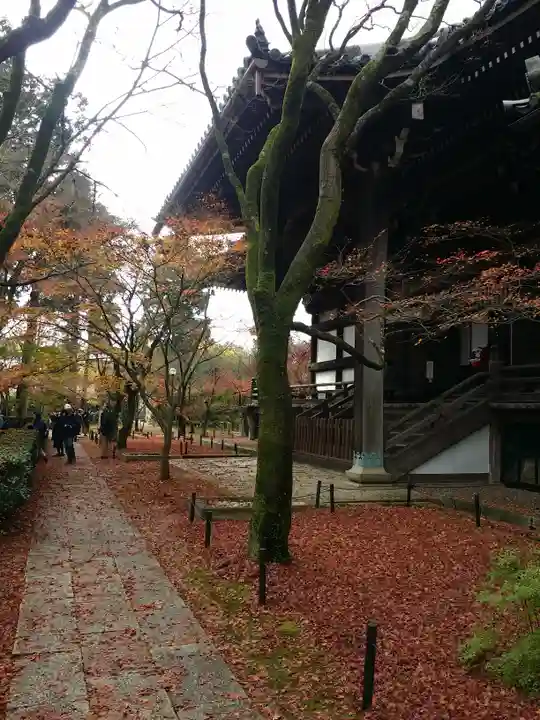 真正極楽寺(真如堂)の景色