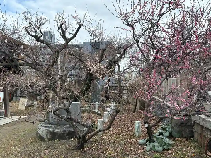 難波熊野神社の{uncategorized: "未分類", other: "その他", undefined: "問題あり", building: "その他建物", grave: "お墓", sacred_gate: "鳥居", guardian: "狛犬", statue: "像", buddha: "仏像", history: "歴史", nature: "自然", garden: "庭園", animal: "動物", pagoda: "塔", temizu: "手水舎", mountain_gate: "山門・神門", sanctuary: "本殿・本堂", subordinate: "末社・摂社", art: "芸術", scenery: "景色", jizo: "地蔵", ema: "絵馬", goshuin: "御朱印", omikuji: "おみくじ", items: "授与品その他", amulet: "お守り", goshuincho: "御朱印帳", eats: "食事", festival: "お祭り", votive_dance: "神楽", shichigosan: "七五三参", wedding: "結婚式", experience: "体験その他", initially: "初詣", around: "周辺", anti_infection: "感染症対策"}