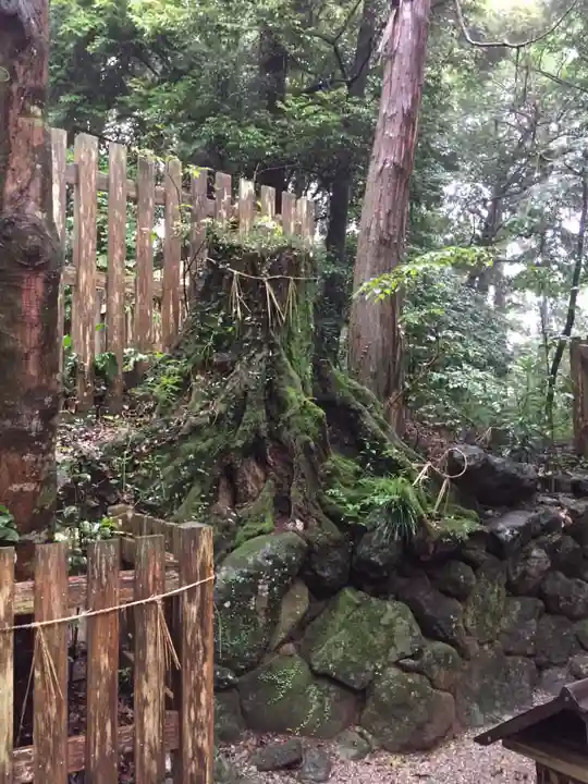 阿射加神社の自然
