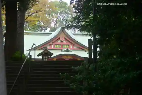 世田谷八幡宮(東京都)