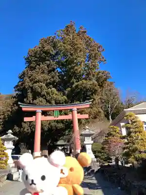 河口浅間神社(山梨県)