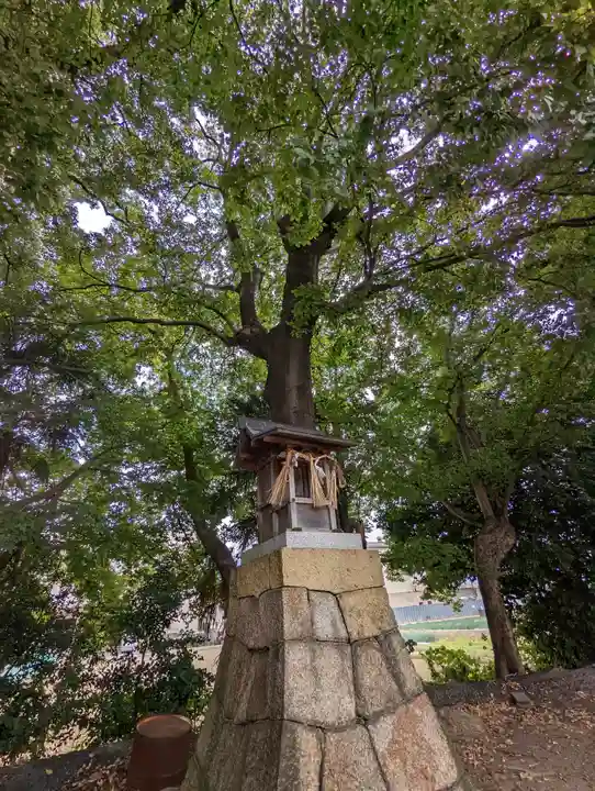 常磐神社(京都府)