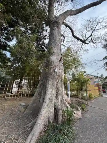 竃神社(兵庫県)