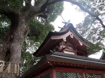 生根神社の本殿・本堂