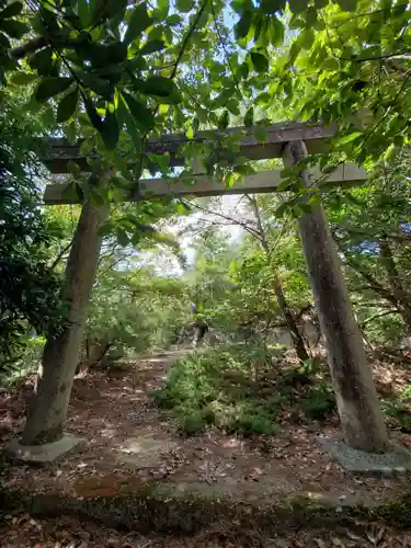 赤坂浅間神社の鳥居