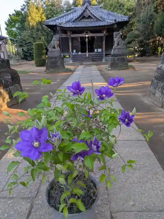 伏木香取神社(茨城県)
