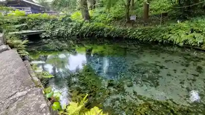 白川吉見神社(熊本県)