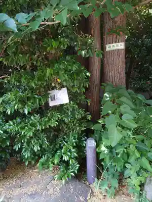 深澤神社の自然