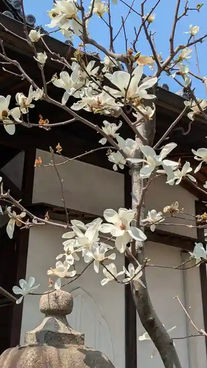 徳善寺(大阪府)