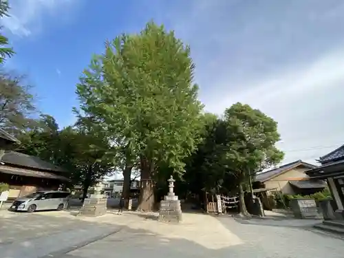 春日部八幡神社(埼玉県)