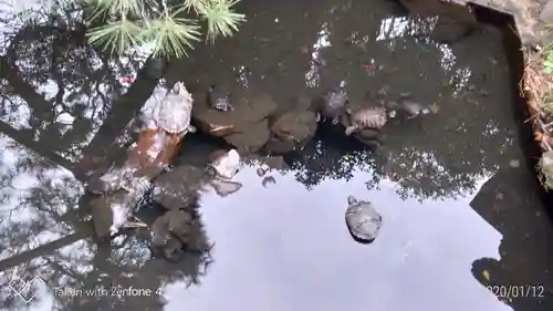 成田山川越別院の庭園