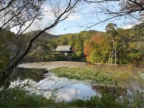 龍安寺(京都府)