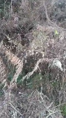 耶馬渓新四国霊場３番札所(大分県)