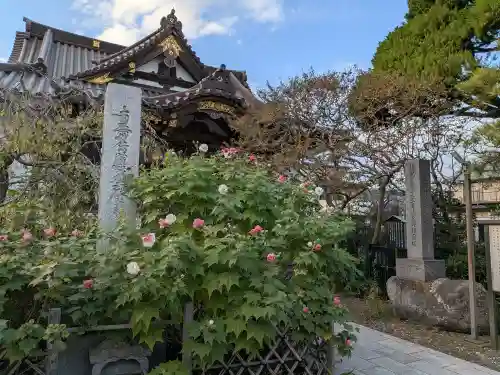 妙隆寺(神奈川県)