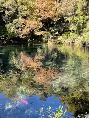 涌釜神社(栃木県)