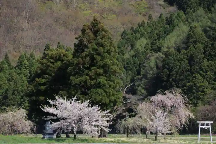 大山祇神社の景色