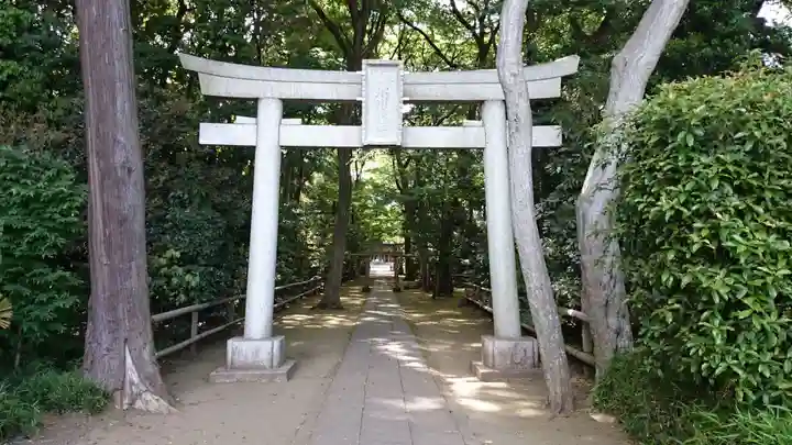 喜多見氷川神社の鳥居