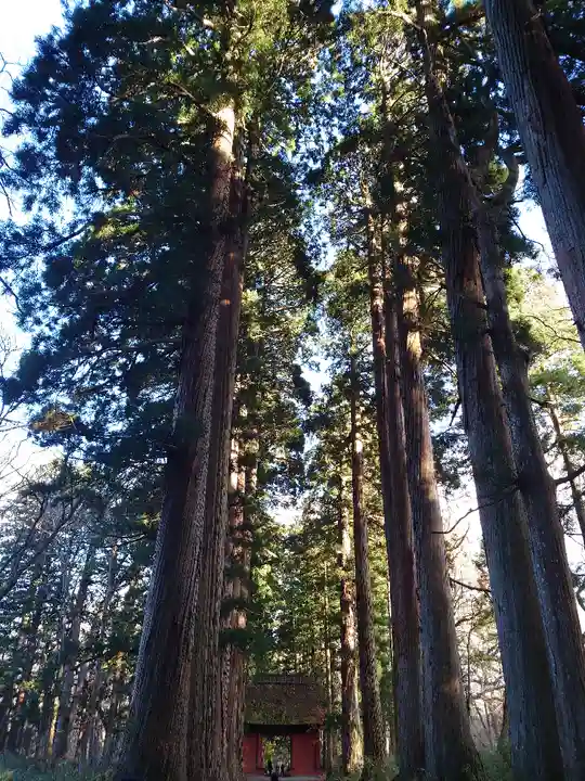 戸隠神社九頭龍社のその他建物