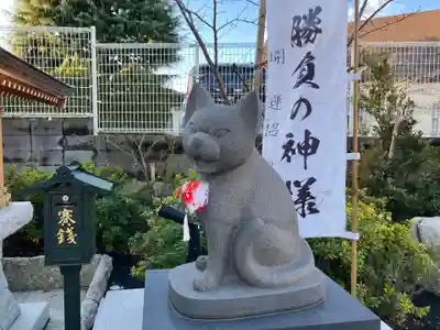 駒込妙義神社(東京都)