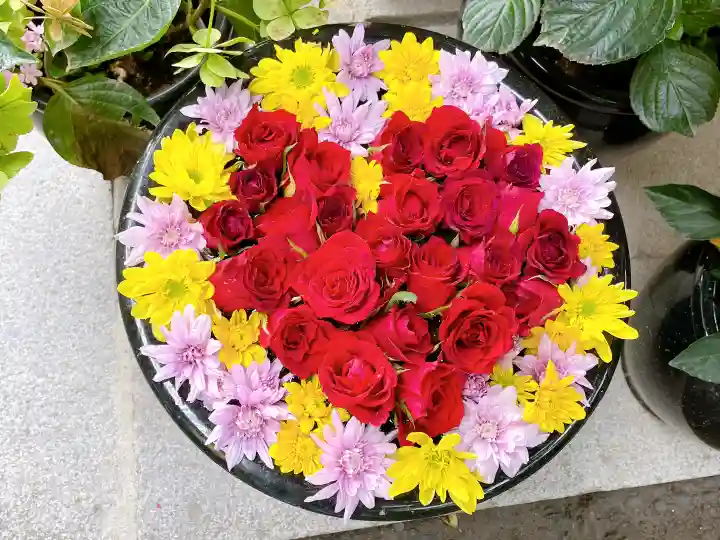 菅生神社の御朱印