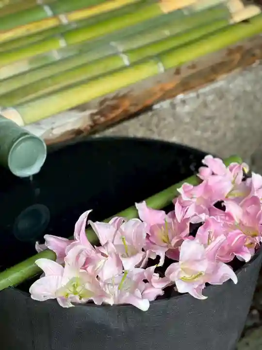 水無瀬神宮(大阪府)