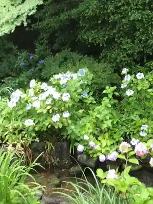高幡不動尊　金剛寺(東京都)