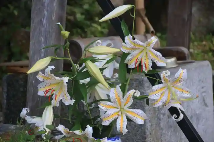 三春大神宮の手水舎