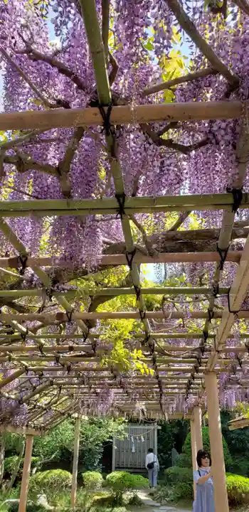 金蛇水神社の庭園