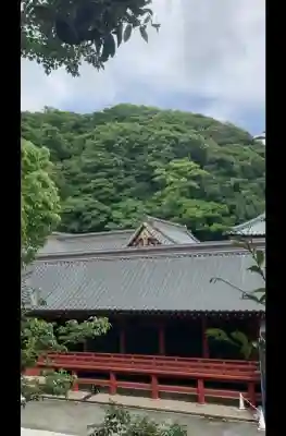 鶴岡八幡宮(神奈川県)