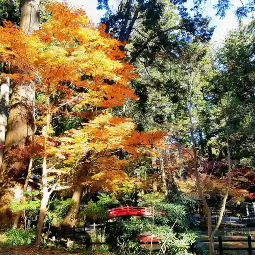 小國神社の庭園