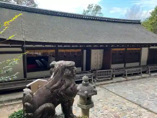 宇治上神社の狛犬