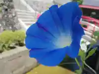 金蛇水神社の自然