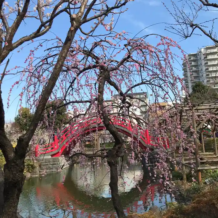 亀戸天神社の庭園
