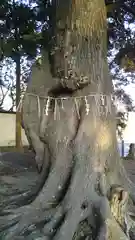 静神社の建物その他