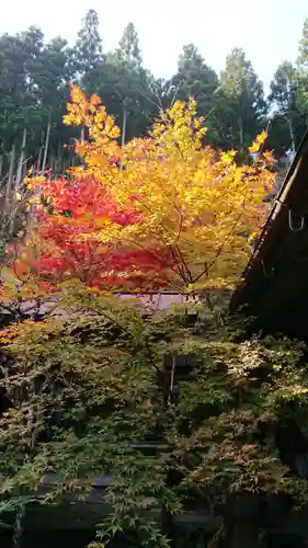 慧日寺の庭園