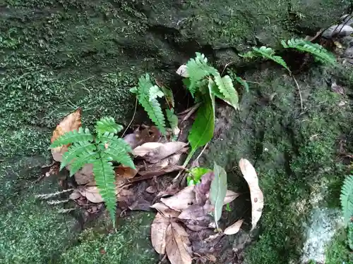 天安河原宮(宮崎県)